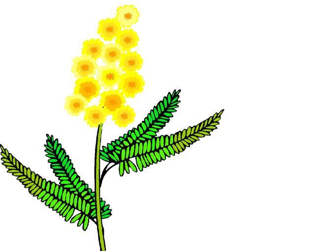 What happens in Italy in March?