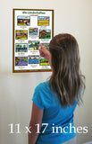 German Language School Poster - Words About Places/Landscapes - Wall Chart for Home and Classroom - Bilingual: German and English Text