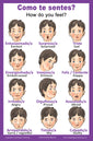School Poster - Words About Feelings / Sentimentos - Wall Chart for Home and Classroom - Language: Portuguese and English