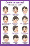 School Poster - Words About Feelings / Sentimentos - Wall Chart for Home and Classroom - Language: Portuguese and English