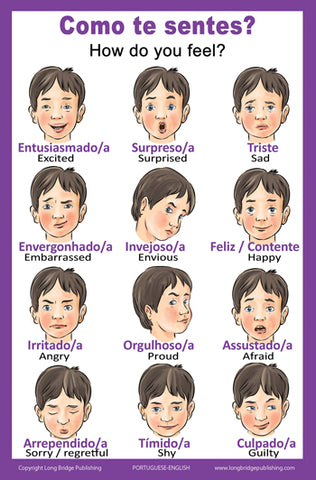 School Poster - Words About Feelings / Sentimentos - Wall Chart for Home and Classroom - Language: Portuguese and English