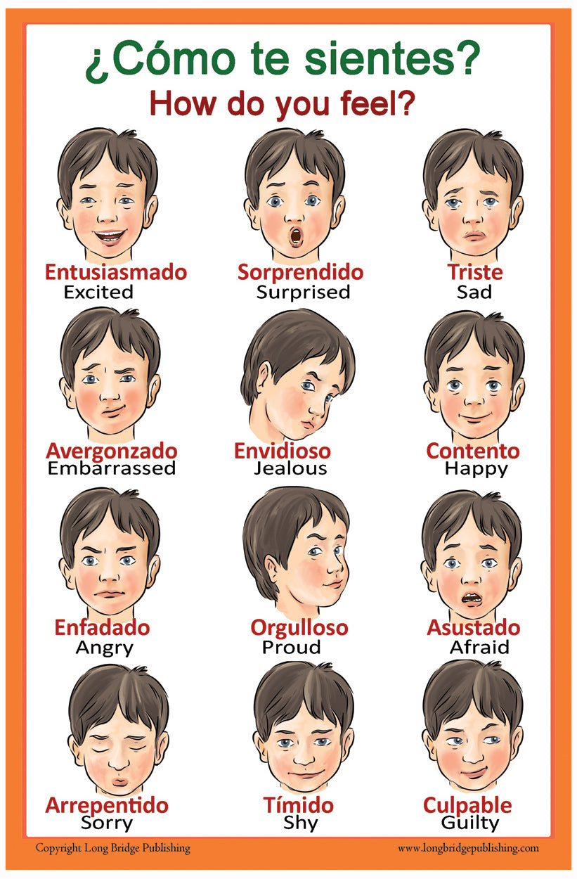 German Language Classroom Poster 18x24 Inches - Deutsch-English Bilingual School Chart