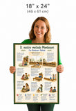 Italian Poster - Dual-language school chart: Montessori School Method / Teaching Principles (18"x24")