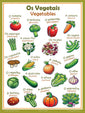 Vegetables in Portuguese, language school poster - ESL chart (bilingual)