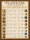 Latin Language School Poster - Planets - Wall Chart for Home and Classroom - Bilingual: Latin and English