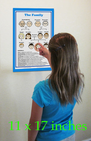 Family members words and definitions in English - School poster and rood décor