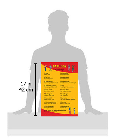 SALUDOS - Greetings in Spanish: Language School Poster, Wall chart for home and classroom - Bilingual: Spanish and English text