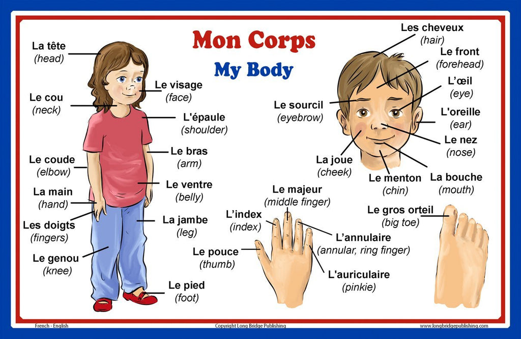 French Language School Poster - Words about Parts of the Body- Wall Chart for Home and Classroom - French and English Bilingual Text