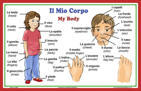 Italian Language School Poster - Words about Parts of the Body - Wall Chart for Home and Classroom - Italian and English Bilingual Text