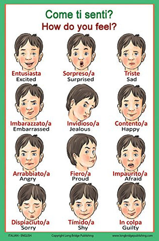 Italian Language School Poster - Words about Feelings - Wall Chart for Home and Classroom - Italian and English Bilingual Text
