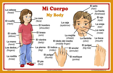 Spanish Language School Poster - Parts of the Body- Wall Chart for Home and Classroom - Spanish and English Bilingual Text