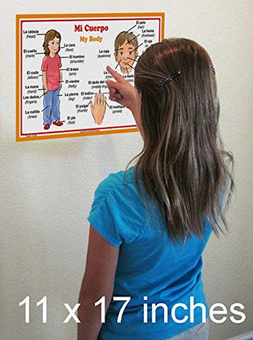 Spanish Language School Poster - Parts of the Body- Wall Chart for Home and Classroom - Spanish and English Bilingual Text