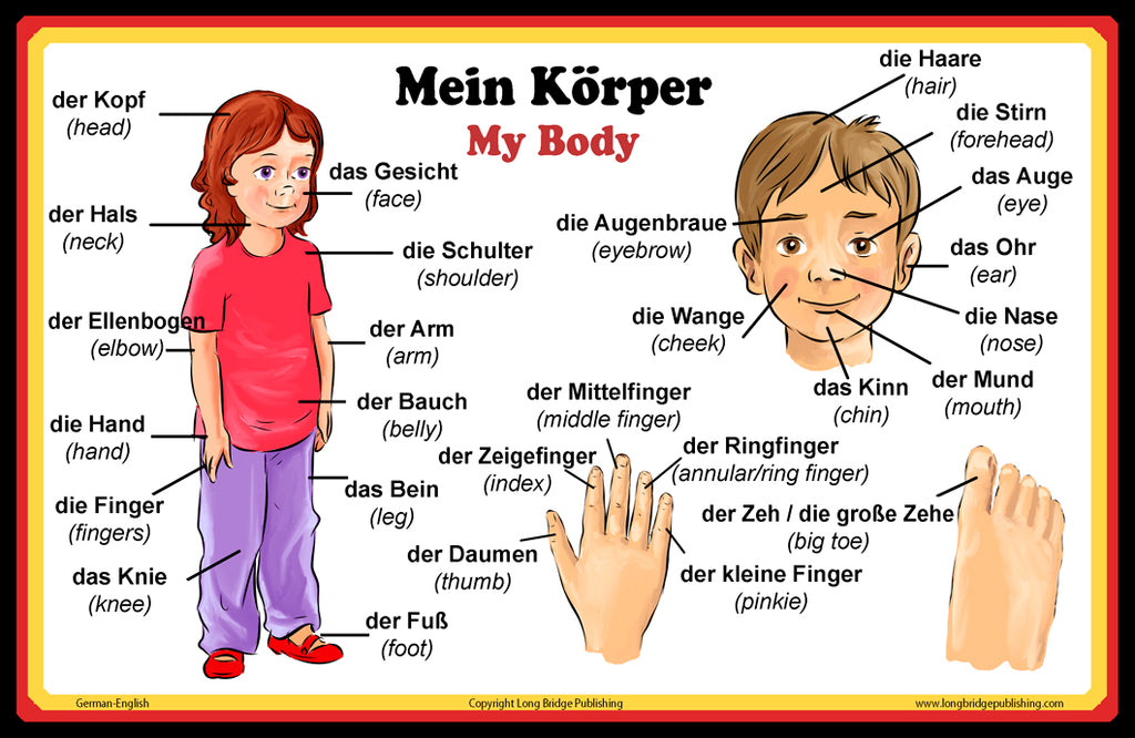 German Language School Poster - Words About Parts of the Body - Wall Chart for Home and Classroom - Bilingual: German and English Text